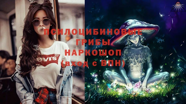 герыч Пересвет