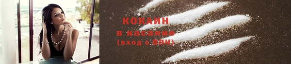 герыч Пересвет
