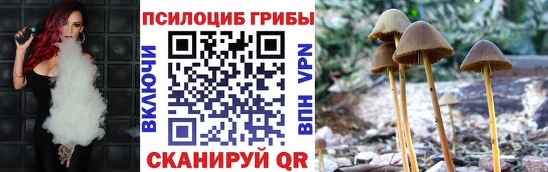 мега зеркало Снежинск Галлюциногенные грибы GOLDEN TEACHER